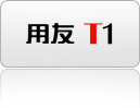T1