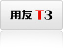 T3